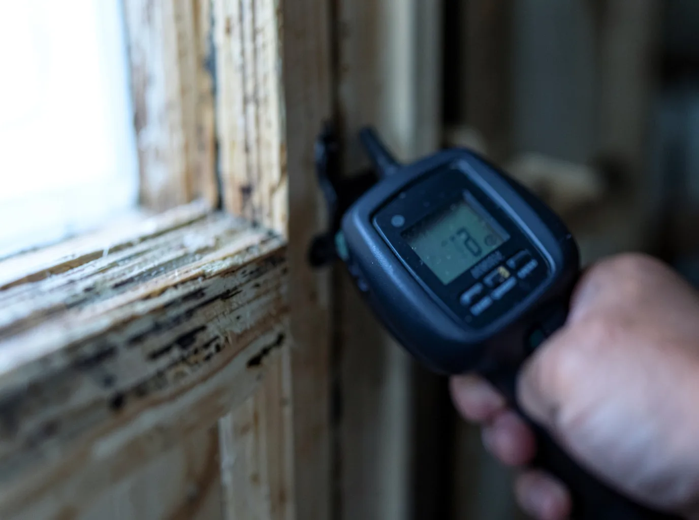 Commercial Water Damage Restoration in Loyal, WI